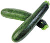 Zucchini Zucchini